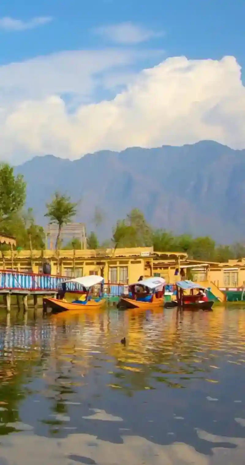 Kashmir
